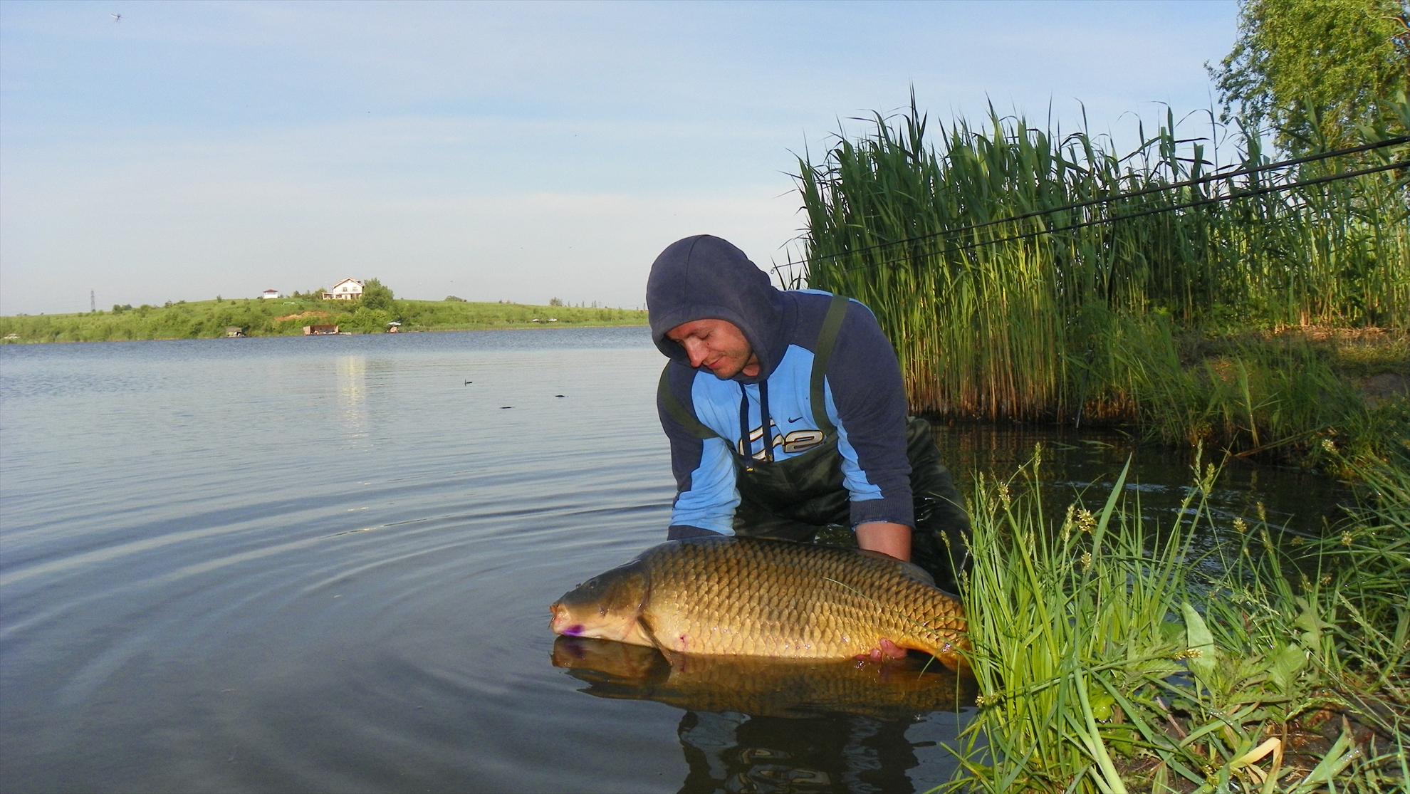 Crapmania (2) - 2011 - 1001162.JPG